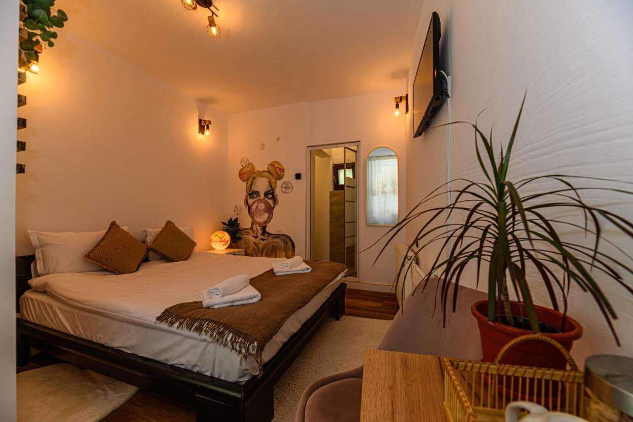 בראשוב Backpacker'S Room מראה חיצוני תמונה