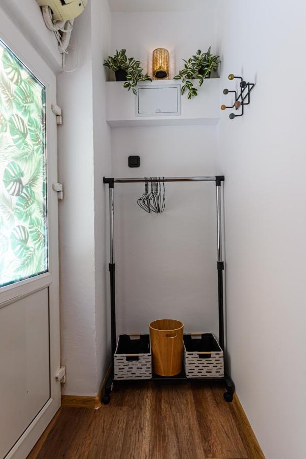 בראשוב Backpacker'S Room מראה חיצוני תמונה